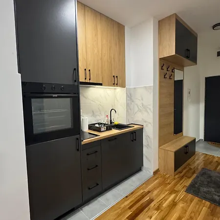 Apartment Petrovic *